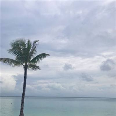 众神征战内购破解版下载
