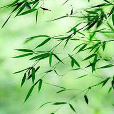 梦幻结界官方版下载
